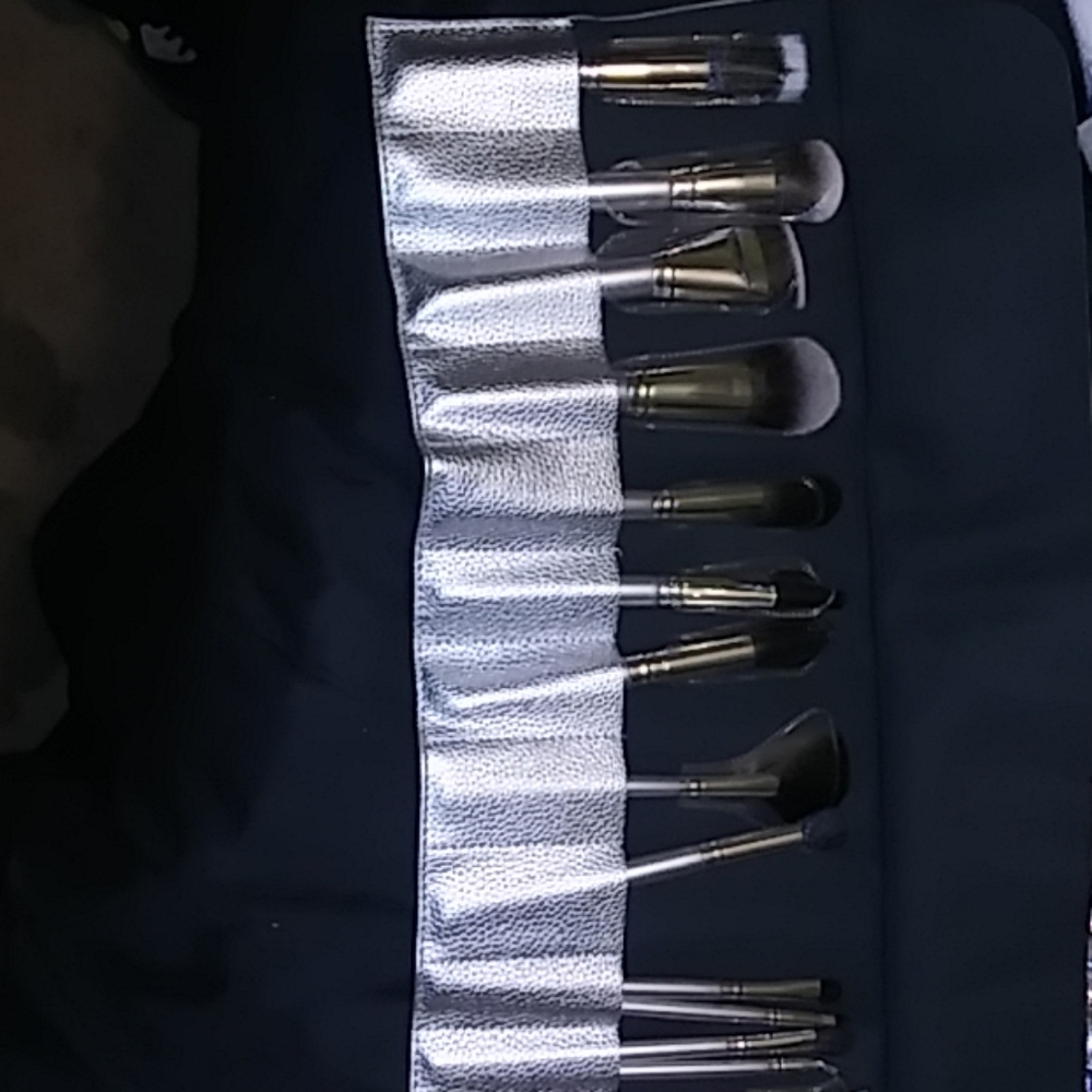 Full set of makeup brushes in case